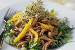 Tim Creehan's Thai Chicken salad