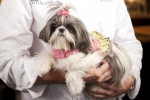 Tim Creehan with his dog Valentina